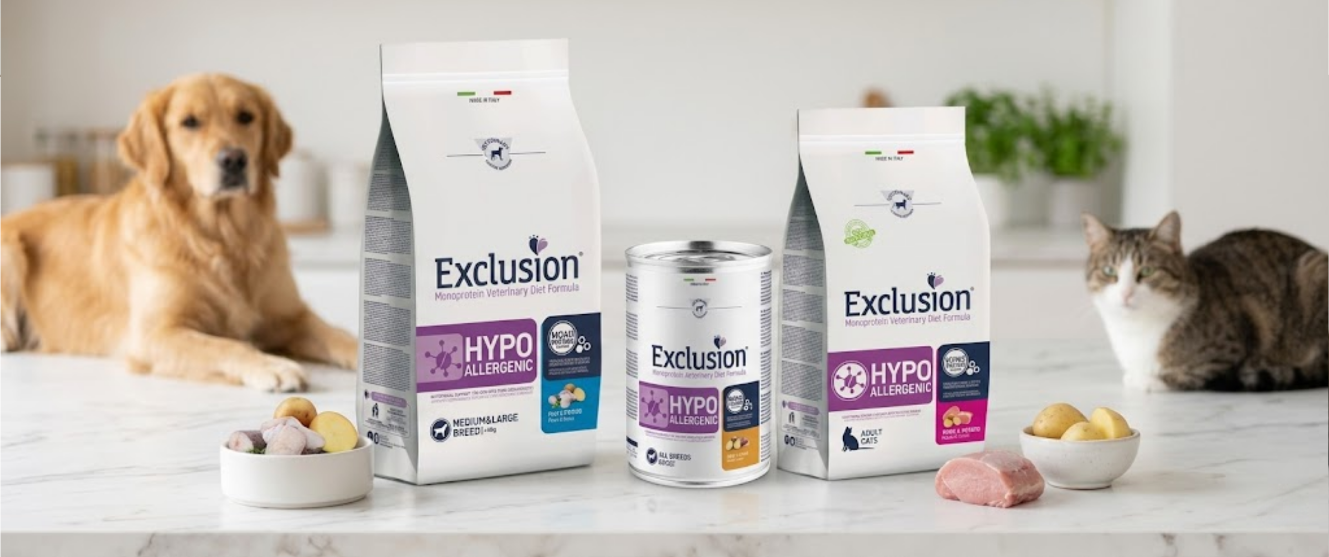 Veterinary Diet